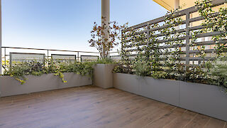 Mit Leidenschaft am Werk